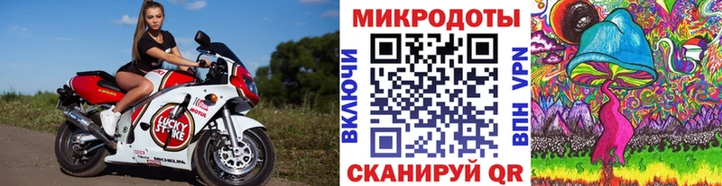 что такое наркотик  omg ССЫЛКА  Псилоцибиновые грибы мицелий  Емва 